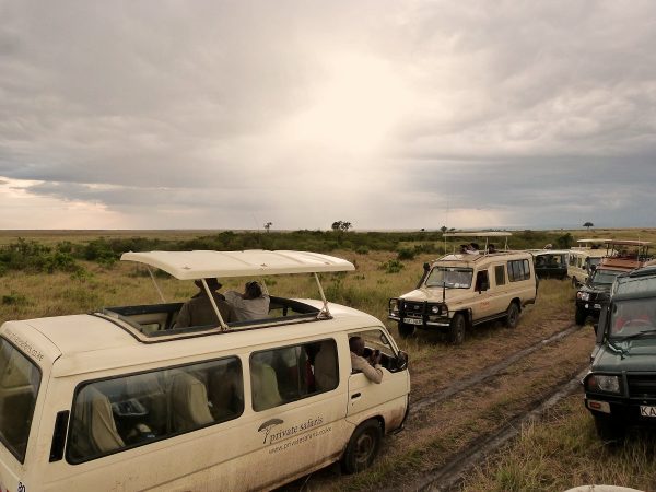 Des 4x4 dans le Masai Mara