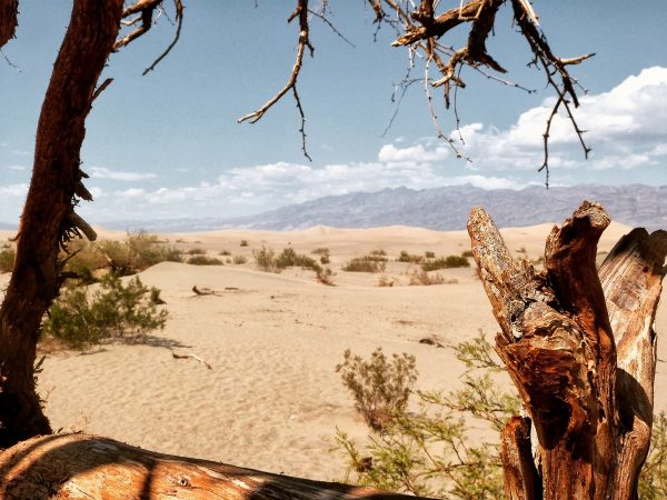 Le Mesquite Sand Dunes dans la vallée de la mort