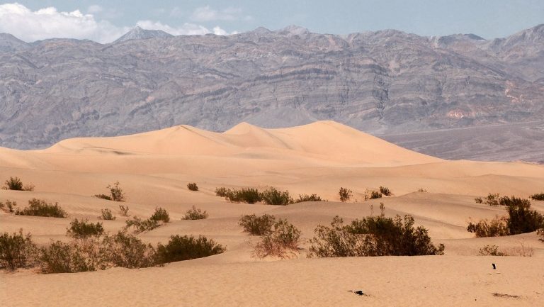 Vallée de la Mort  que voir & infos pratiques pour préparer sa visite