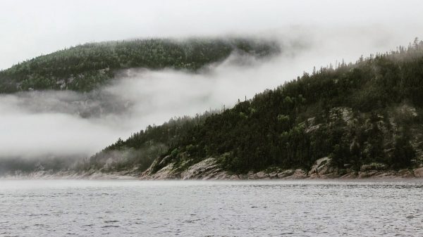 Fjord du Saguenay - Tadoussac