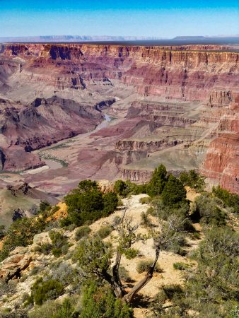 Un des points de vue du South Rim du Grand Canyon