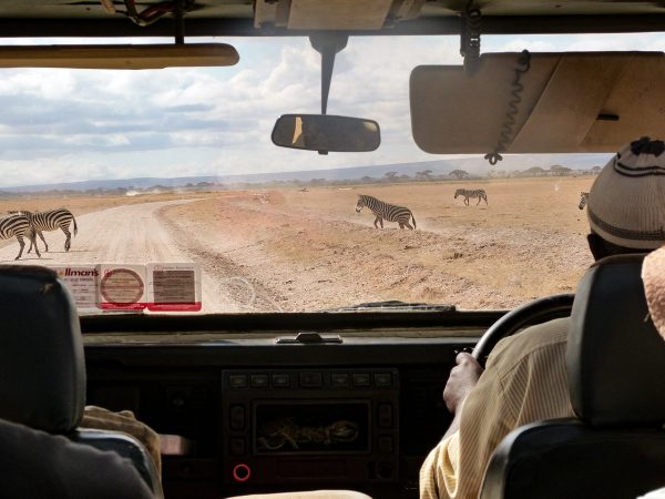Parc national d'Amboseli au Kenya
