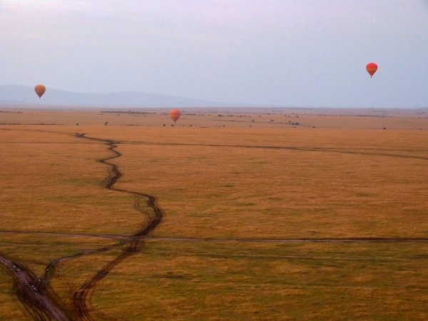 Les montgolfières au-dessus du Masai Mara
