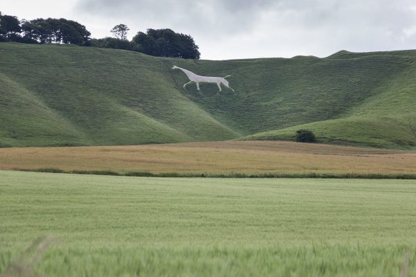 Le Cherhill White Horse à quelques kilomètres d'Avebury