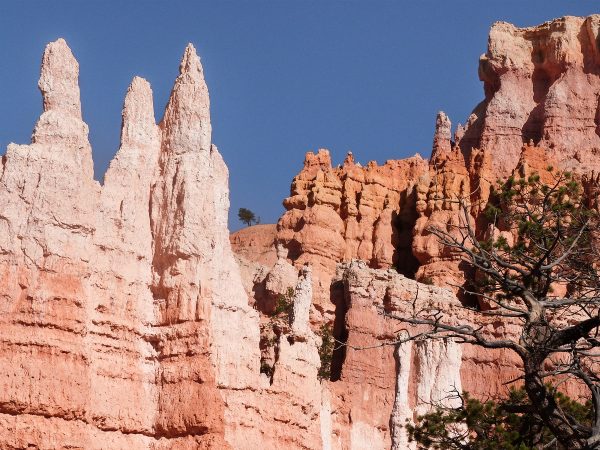 Les hoodoos ou cheminées de fée de Bryce Canyon