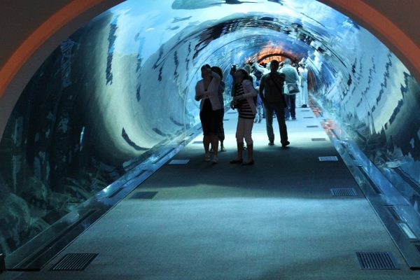L'aquarium de Dubaï