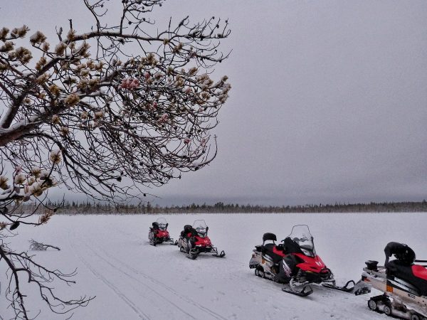 Excursion en motoneige en Laponie