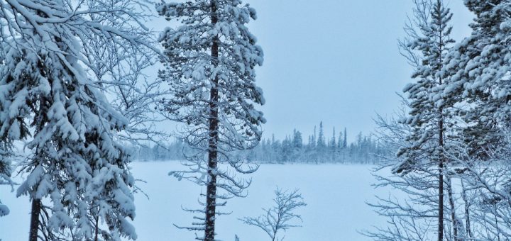 Les paysages enneigés en Laponie