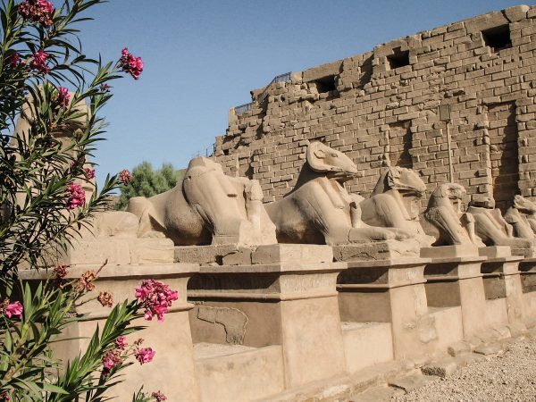 Statues au temple de Karnak