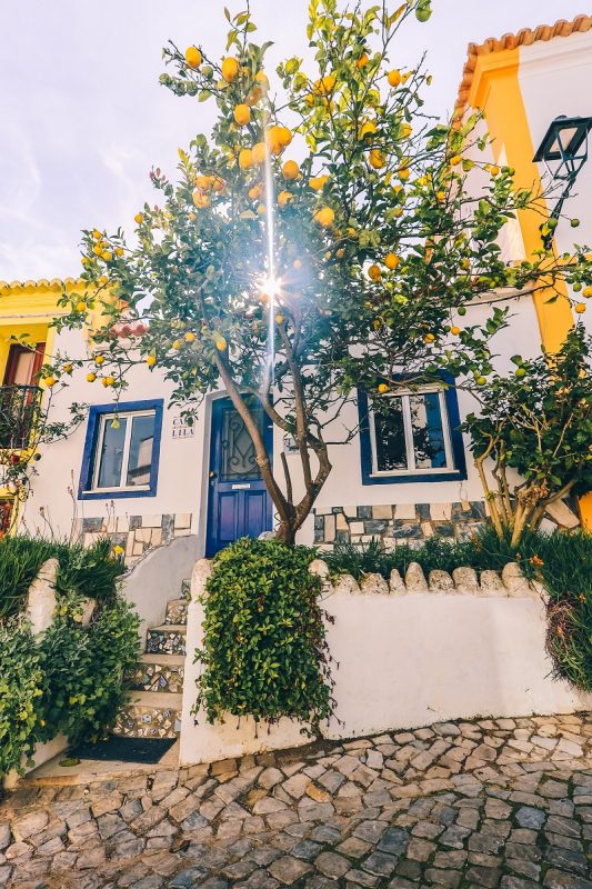 Visiter Lagos (Portugal) et ses alentours que faire et voir