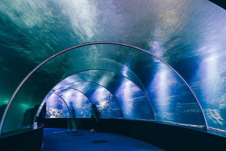 Visite de Nausicaa infos l'aquarium de Boulogne sur Mer Hashtag Voyage