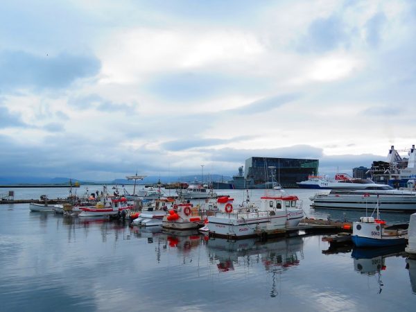 Port de Reykjavik, l'une des zones où dormir en Airbnb à Reykjavik