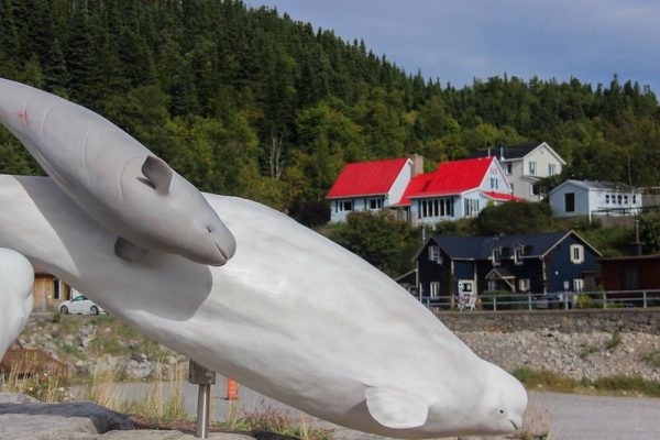 Statues de mammifères marins devant le CIMM de Tadoussac
