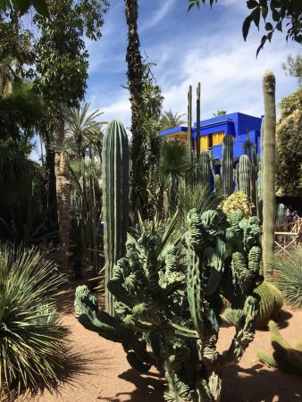 Jardin Majorelle de Marrakech
