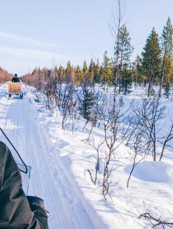 Motoneige dans la forêt près de Kiruna