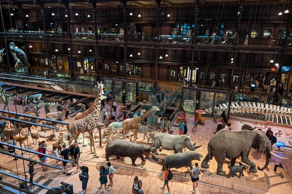 A l'intérieur du museum d'histoire naturelle de Paris